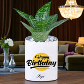 Personalised Birthday Special Sanseveria Snake Plant
